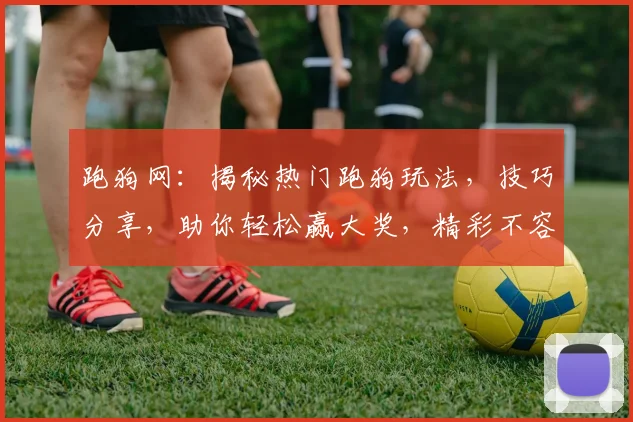 跑狗网：揭秘热门跑狗玩法，技巧分享，助你轻松赢大奖，精彩不容错过，快来体验