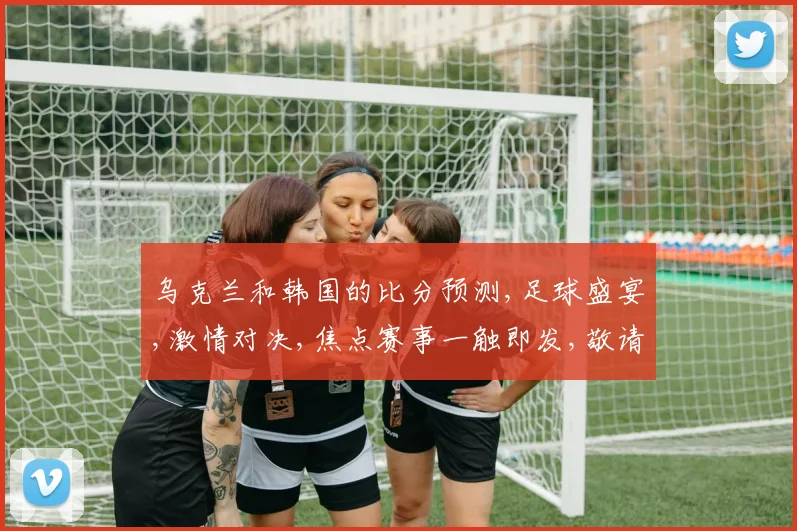 乌克兰和韩国的比分预测,足球盛宴,激情对决,焦点赛事一触即发,敬请期待