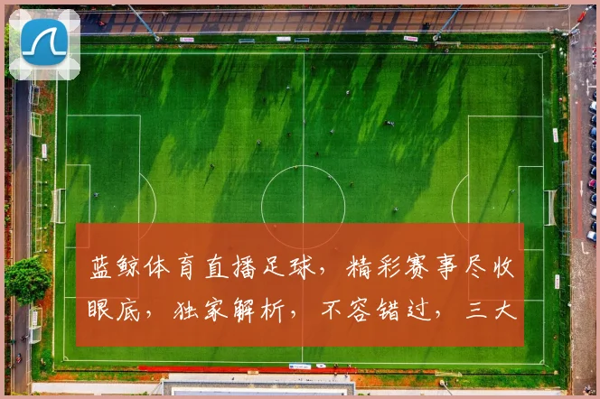 蓝鲸体育直播足球，精彩赛事尽收眼底，独家解析，不容错过，三大亮点，不容忽视，锁定蓝鲸